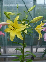 Foto: Dr. Peter Müller